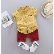  Комплект с одуванчиком